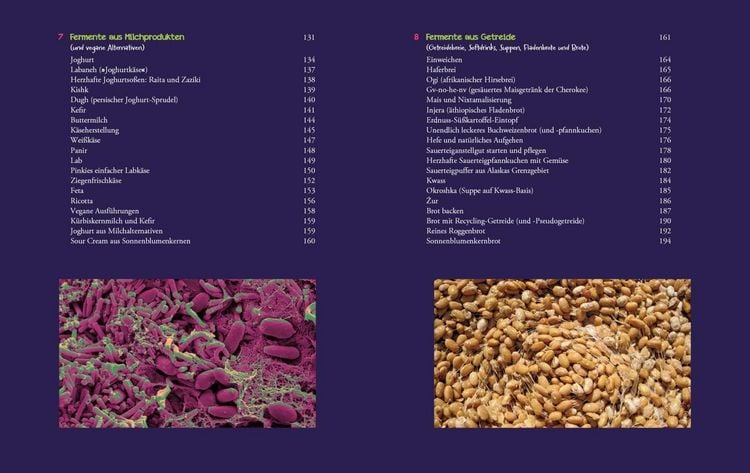 Produktbild: Die Fermentier-Bibel