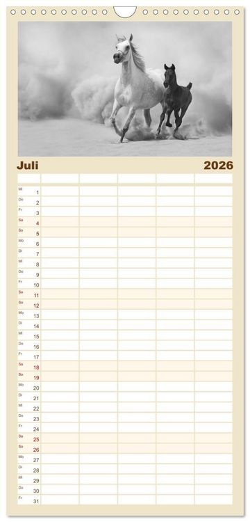 Produktbild: Familienplaner 2026 - Arabische Pferde mit 5 Spalten (Wandkalender, 21 x 45 cm) CALVENDO