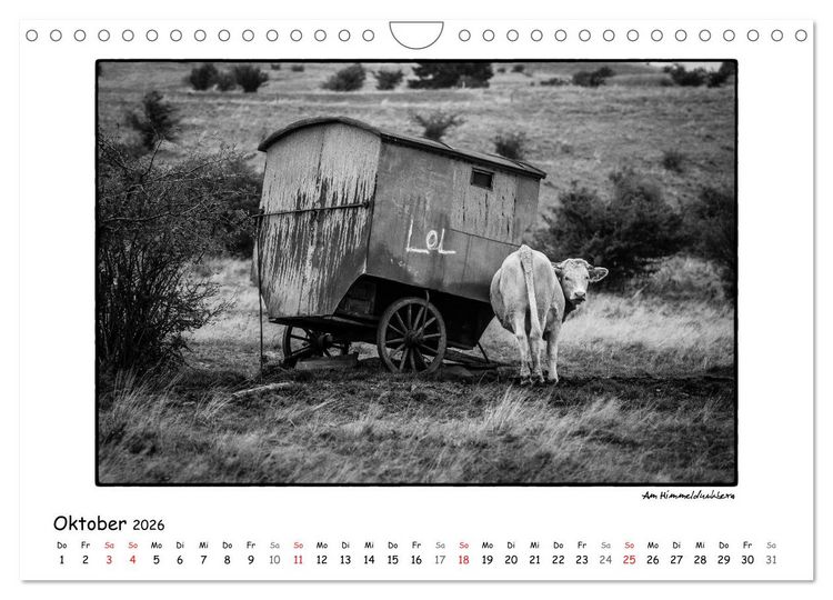 Produktbild: RH&Ouml;N SCHWARZ-WEISS (Wandkalender 2026 DIN A4 quer), CALVENDO Monatskalender