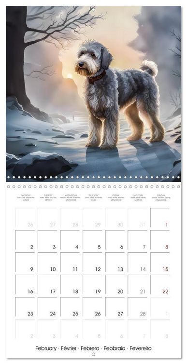 Produktbild: Aussiedoodle - Dogs to love (Wall Calendar 2026 12 &times; 12 Inch) CALVENDO 12 Month Wall Calendar