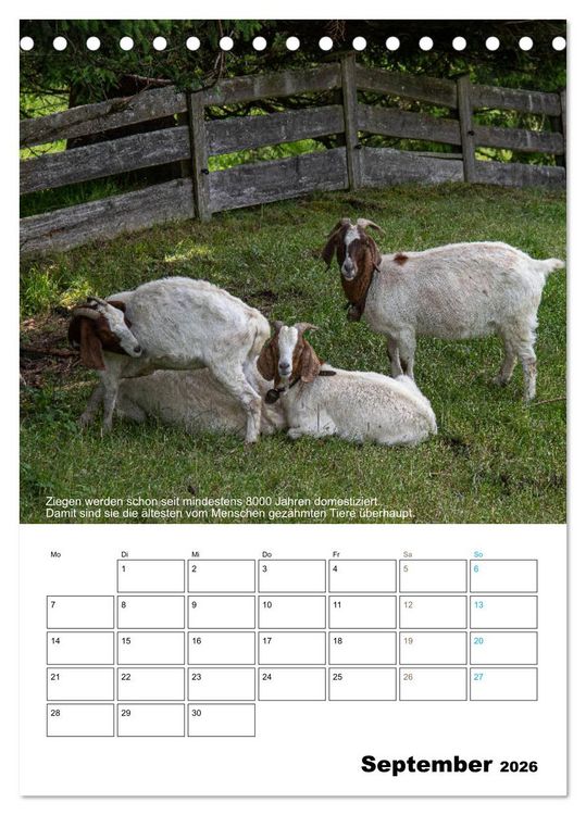 Produktbild: Liebenswerte Landtiere (Tischkalender 2026 DIN A5 hoch), CALVENDO Monatskalender