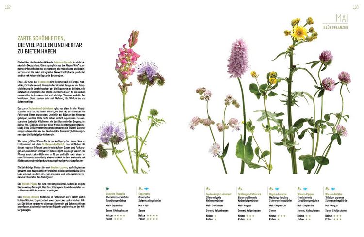Produktbild: Wildbienenhelfer