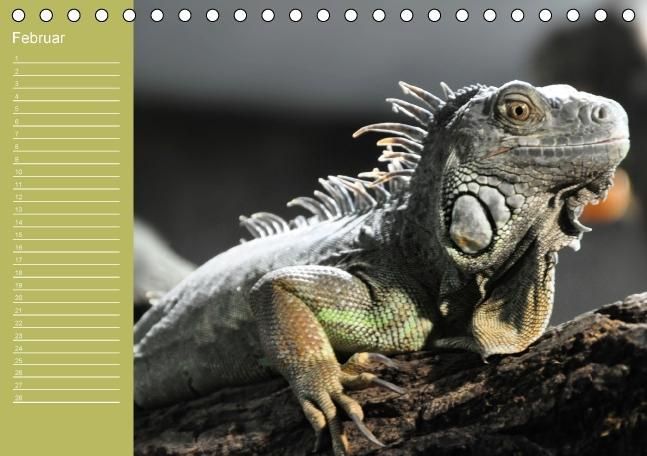 Produktbild: Drachen / Geburtstagskalender (Tischkalender immerw&auml;hrend DIN A5 quer)