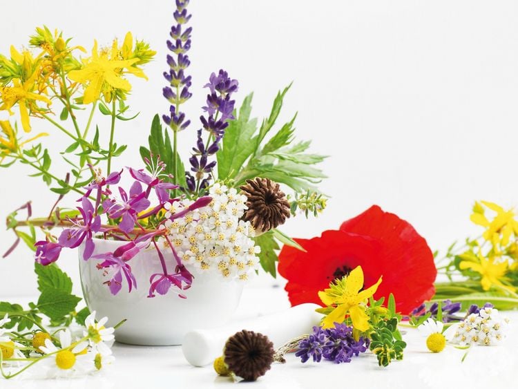 Produktbild: CALVENDO Puzzle Bunte Wildkr&auml;uter aus dem Naturgarten 1000 Teile Lege-Gr&ouml;&szlig;e 64 x 48 cm Foto-Puzzle Bild von Avianaarts Design Fotografie by Tanja Riedel