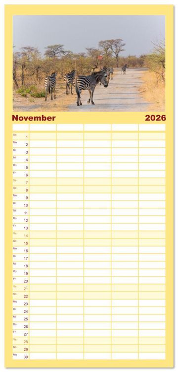 Produktbild: Familienplaner 2026 - Zebras in Afrika mit 5 Spalten (Wandkalender, 21 x 45 cm) CALVENDO