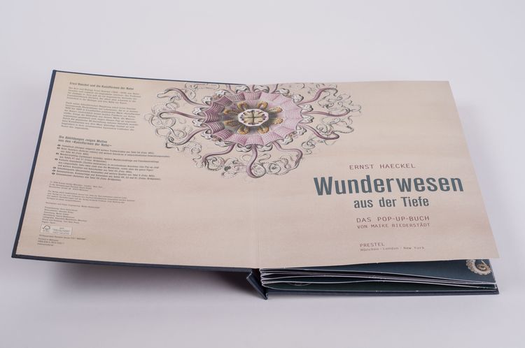 Wunderwesen aus der Tiefe. Ernst Haeckel