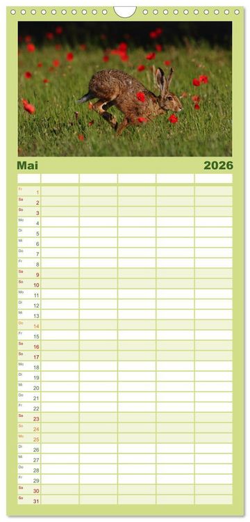 Produktbild: Familienplaner 2026 - Feldhasen in H&ouml;chstform mit 5 Spalten (Wandkalender, 21 x 45 cm) CALVENDO