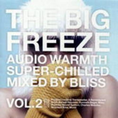 Produktbild: Various/Bliss: Big Freeze Vol.2