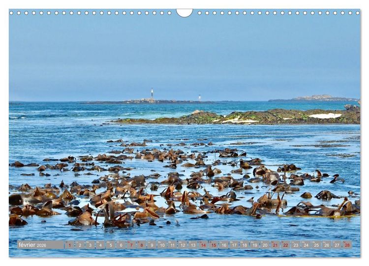 Produktbild: Les &icirc;les conqu&eacute;toises (Calendrier mural 2026 DIN A3 vertical), CALVENDO calendrier mensuel