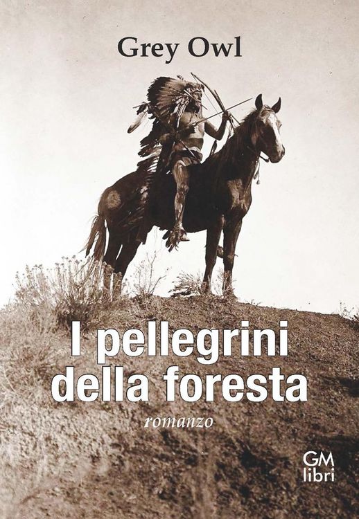 Produktbild: I pellegrini della foresta