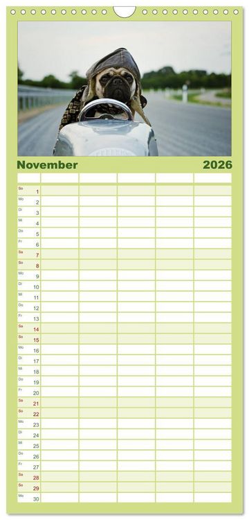 Produktbild: Familienplaner 2026 - Der MOPS-Kalender mit 5 Spalten (Wandkalender, 21 x 45 cm) CALVENDO
