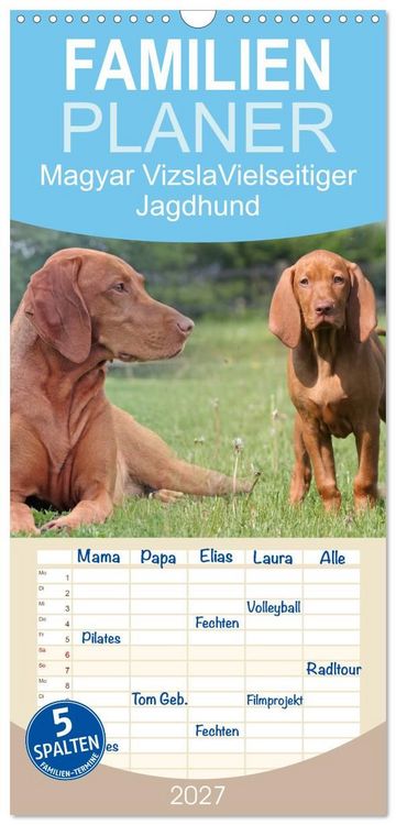 Produktbild: Familienplaner 2027 - Magyar Vizsla - Vielseitiger Jagdhund mit 5 Spalten (Wandkalender, 21 x 45 cm) CALVENDO