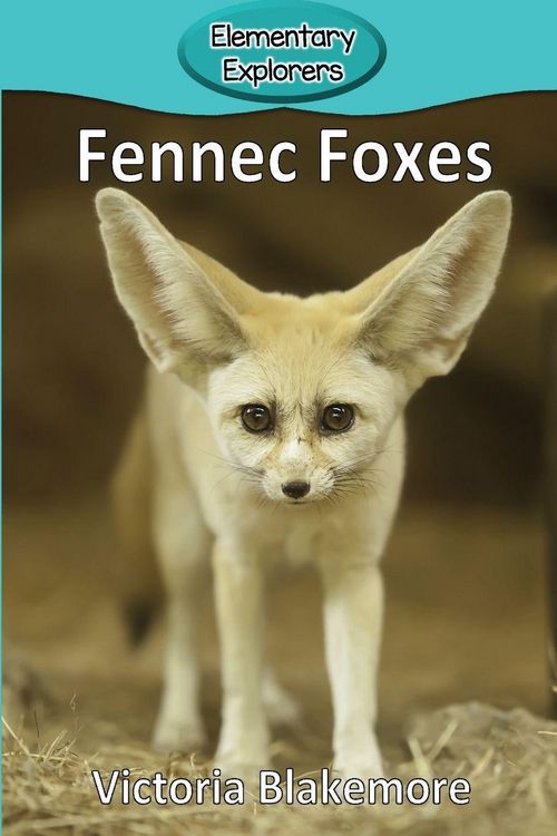 Produktbild: Fennec Foxes
