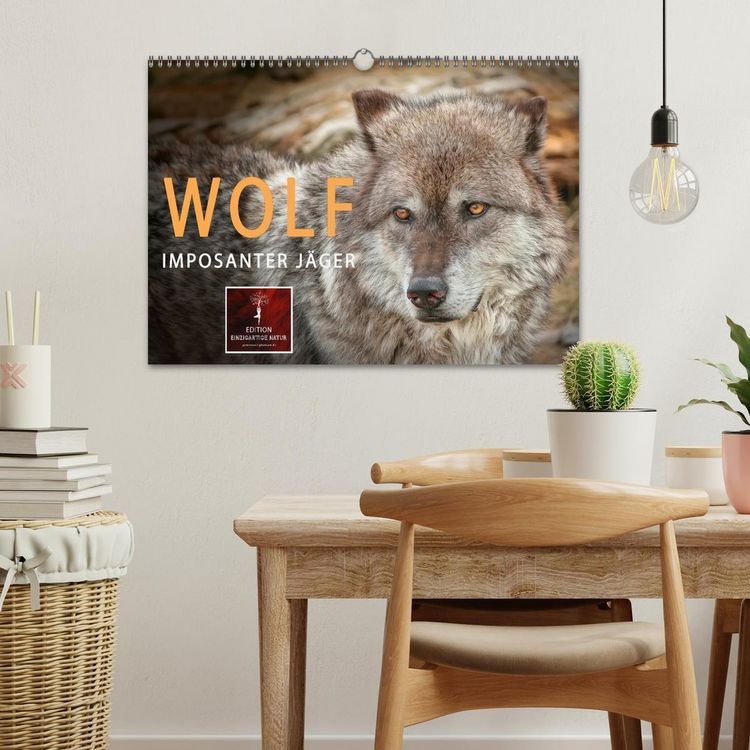 Produktbild: Wolf - Imposanter J&auml;ger (Wandkalender 2026 DIN A3 quer), CALVENDO Monatskalender