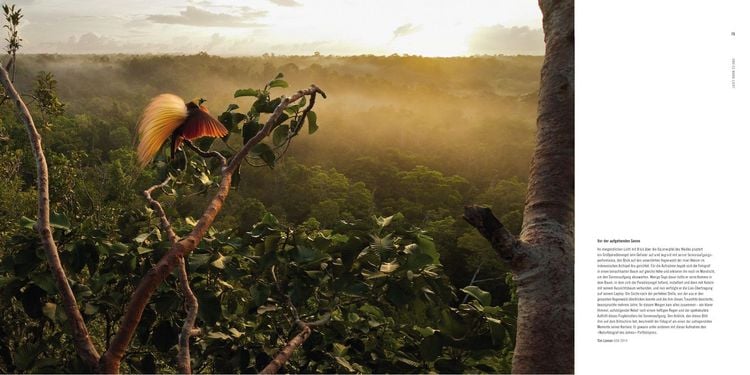 Produktbild: 60 Jahre Wildlife Fotografien des Jahres