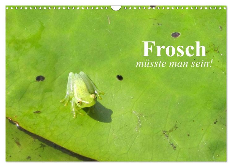 Produktbild: Frosch m&uuml;sste man sein! (Wandkalender 2026 DIN A3 quer), CALVENDO Monatskalender