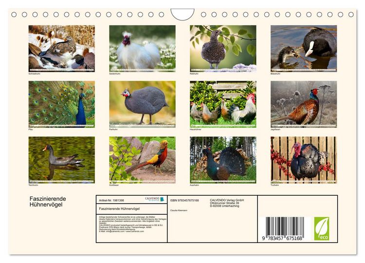 Produktbild: Faszinierende H&uuml;hnerv&ouml;gel (Wandkalender 2026 DIN A4 quer), CALVENDO Monatskalender