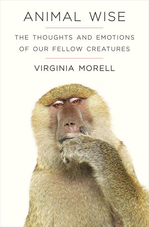 Produktbild: Animal Wise