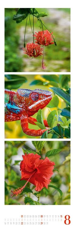 Produktbild: Nature Triplet-Kalender 2027