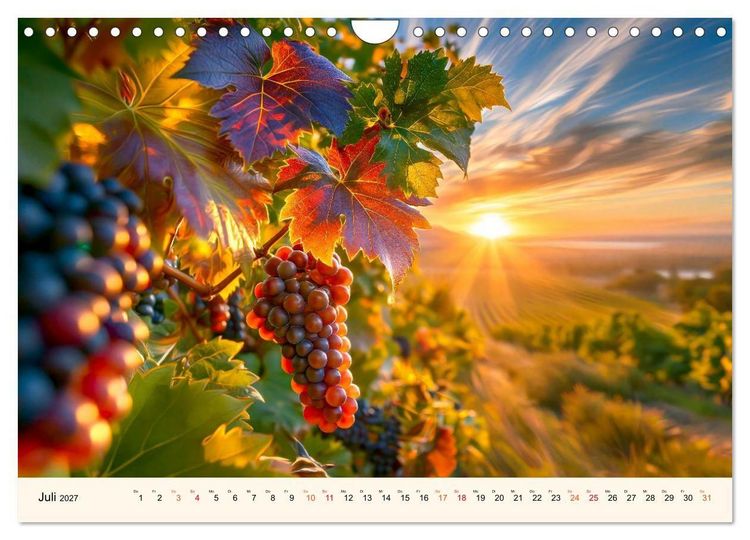 Produktbild: Wein - Tradition &middot; Kellerkunst &middot; Herkunft (Wandkalender 2027 DIN A4 quer), CALVENDO Monatskalender