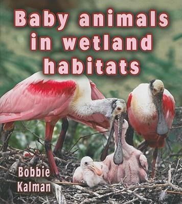 Produktbild: Baby Animals in Wetland Habitats