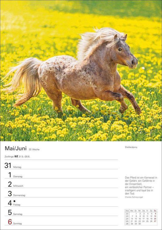 Produktbild: Pferde Wochenplaner 2027 - 53 faszinierende Fotografien