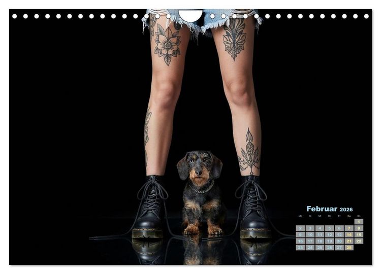 Produktbild: Starke M&auml;dels - Rauhaardackel (Wandkalender 2026 DIN A4 quer), CALVENDO Monatskalender