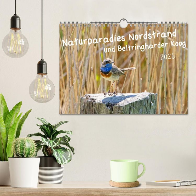 Produktbild: Naturparadies Nordstrand und Beltringharder Koog (Wandkalender 2026 DIN A4 quer), CALVENDO Monatskalender