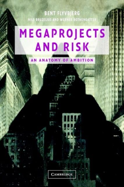 Produktbild: Megaprojects and Risk