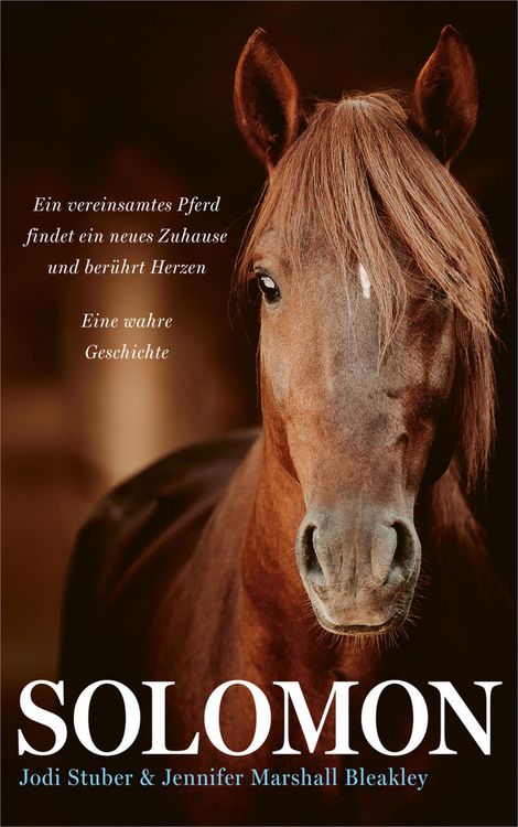 Produktbild: Solomon