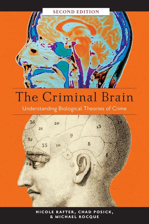 Produktbild: The Criminal Brain, Second Edition