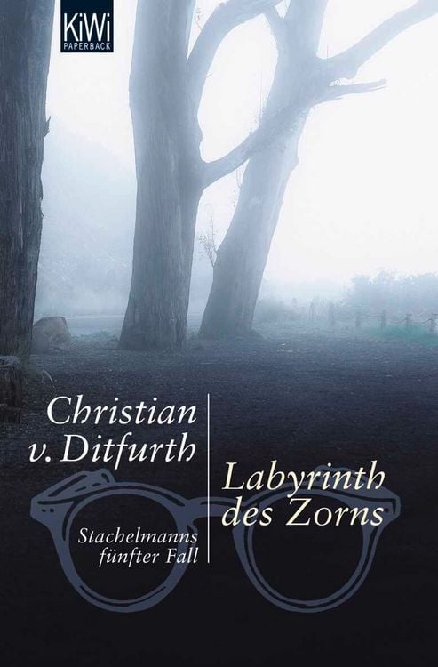 Produktbild: Labyrinth des Zorns / Stachelmann Band 5