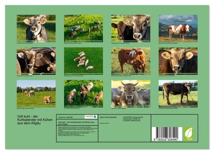 Produktbild: Voll kuhl - der Kuhkalender mit K&uuml;hen aus dem Allg&auml;u (Wandkalender 2026 DIN A4 quer), CALVENDO Monatskalender