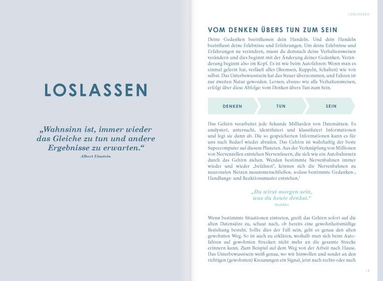 Produktbild: THE NEW YOU - Das Buch, das dein Leben ver&auml;ndert.