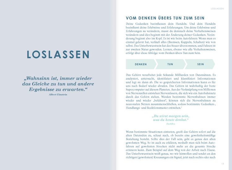 Produktbild: THE NEW YOU - Das Buch, das dein Leben ver&auml;ndert.