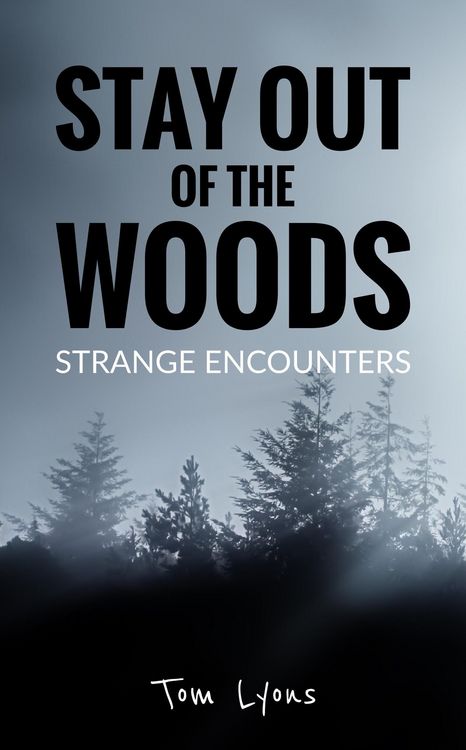 Produktbild: Stay Out of the Woods: Strange Encounters