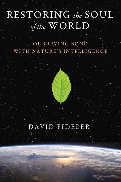 Produktbild: Restoring the Soul of the World