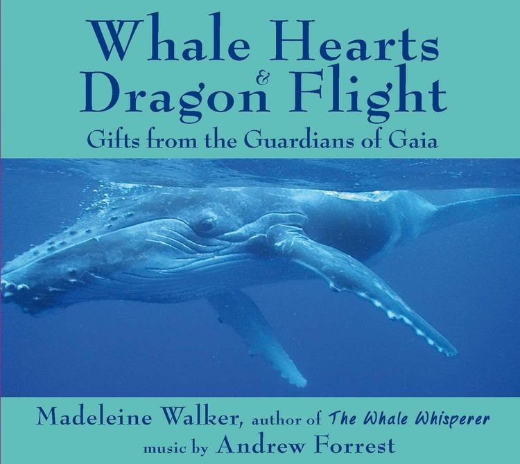 Produktbild: Whale Hearts and Dragon Flight