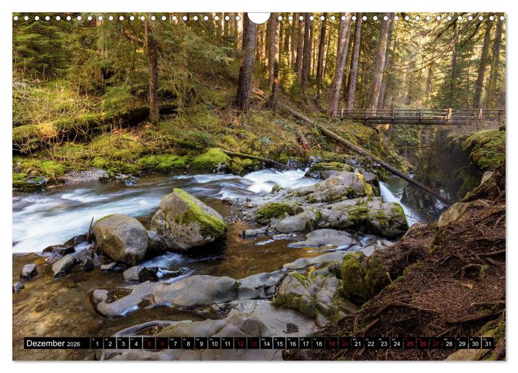 Produktbild: Waldwasser (Wandkalender 2026 DIN A3 quer), CALVENDO Monatskalender