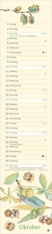 Produktbild: Edith Holden: Mit der Natur durchs Jahr Kalender 2027