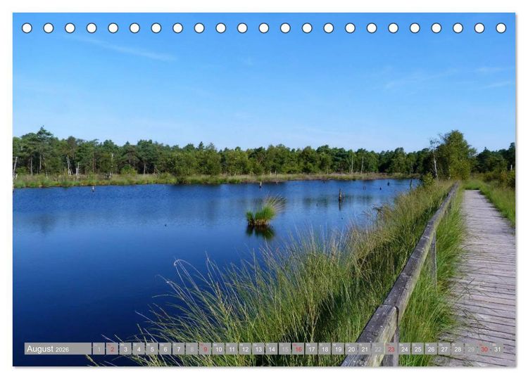 Produktbild: Pietzmoor - ein Hochmoor in der L&uuml;neburger Heide (Tischkalender 2026 DIN A5 quer), CALVENDO Monatskalender