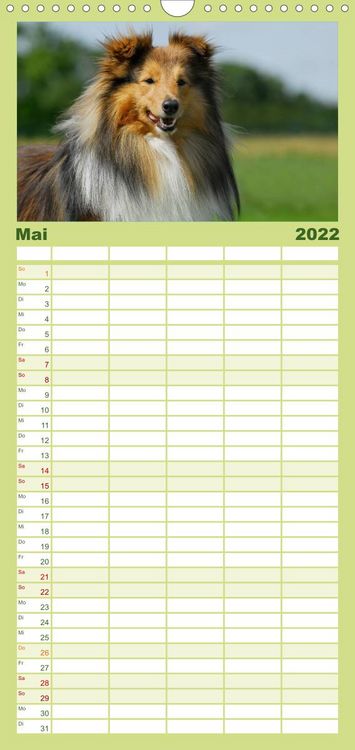 Produktbild: Sheltie 2022 - Familienplaner hoch (Wandkalender 2022 , 21 cm x 45 cm, hoch)