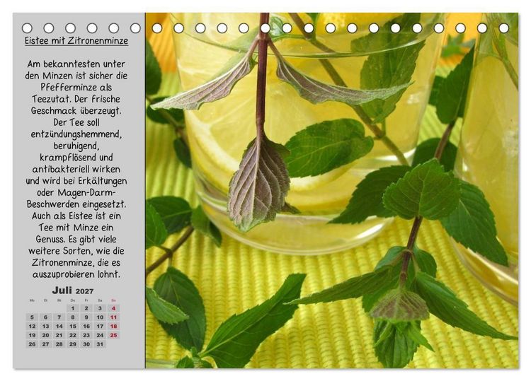 Produktbild: Eine kleine Teekunde - Zw&ouml;lf Teesorten im Portr&auml;t (Tischkalender 2027 DIN A5 quer), CALVENDO Monatskalender