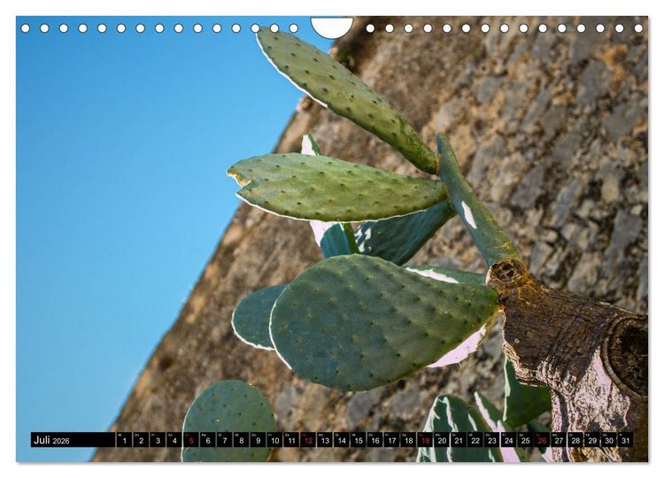 Produktbild: ALICANTE INSIDE - Monatskalender &uuml;ber die Stadt Alicante (Wandkalender 2026 DIN A4 quer), CALVENDO Monatskalender