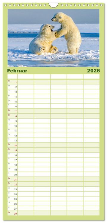 Produktbild: Familienplaner 2026 - B&auml;ren - Pandas, Grizzlyb&auml;ren und Co. mit 5 Spalten (Wandkalender, 21 x 45 cm) CALVENDO