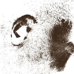 Produktbild: Peiden