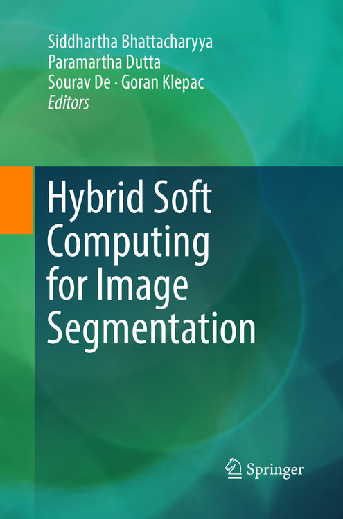 Produktbild: Hybrid Soft Computing for Image Segmentation