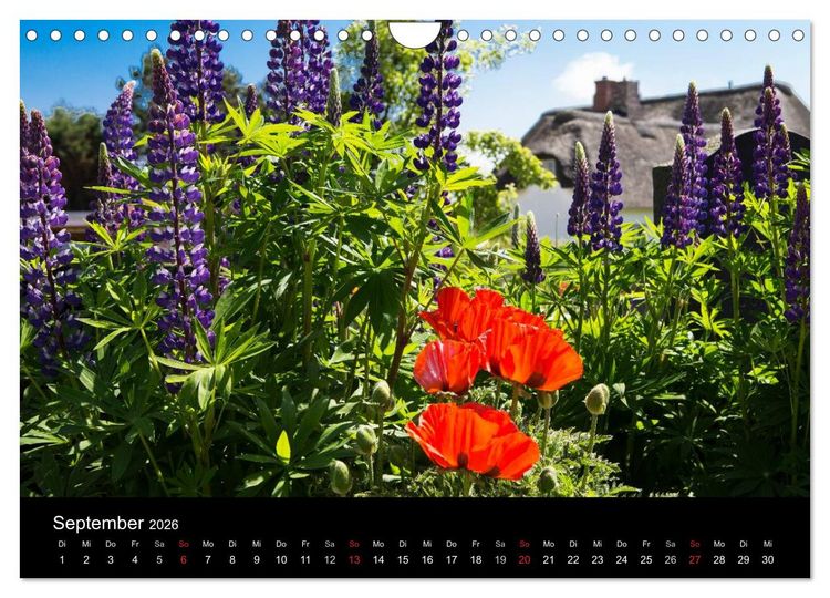 Produktbild: Amrumer Impressionen (Wandkalender 2026 DIN A4 quer), CALVENDO Monatskalender