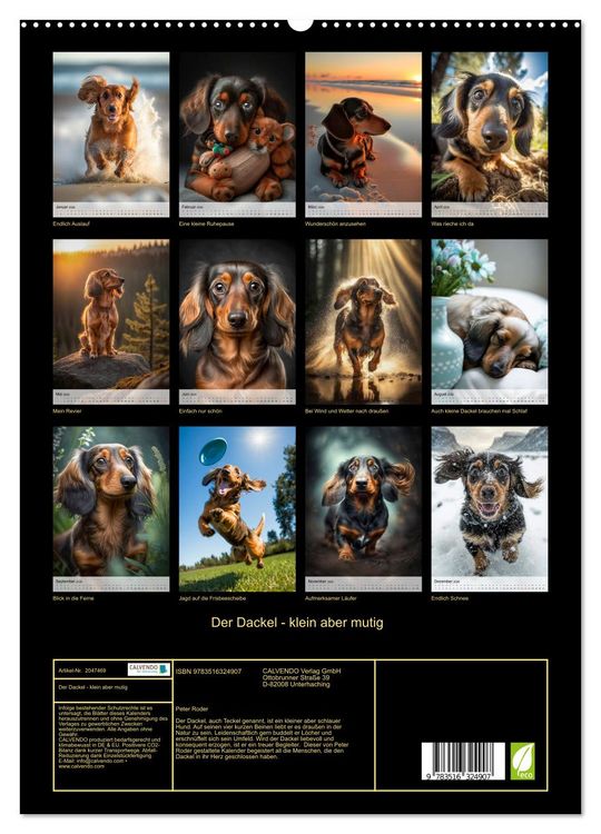 Produktbild: Der Dackel - klein aber mutig (hochwertiger Premium Wandkalender 2026 DIN A2 hoch), Kunstdruck in Hochglanz