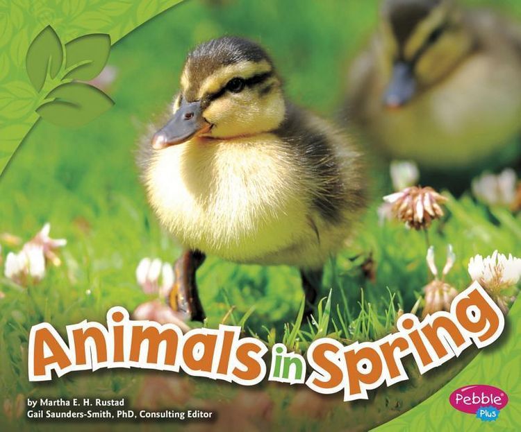 Produktbild: Animals in Spring